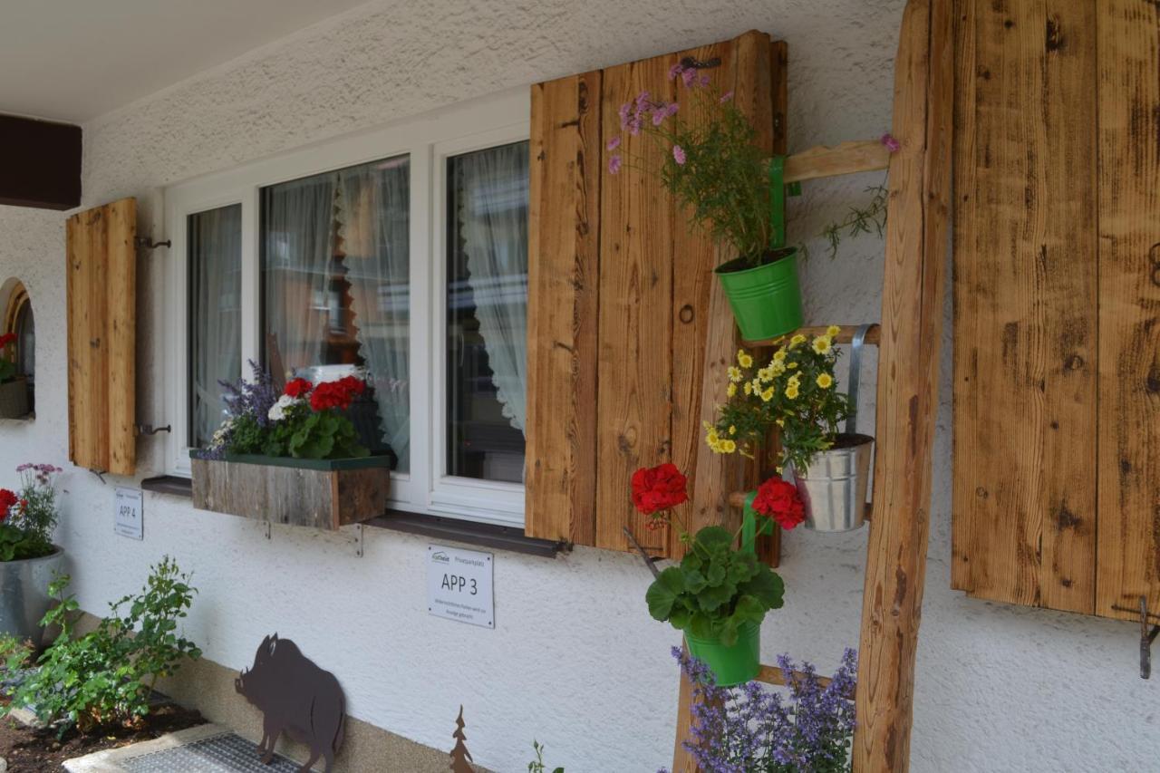 Alp-chalet 3* Hirschegg (Vorarlberg)