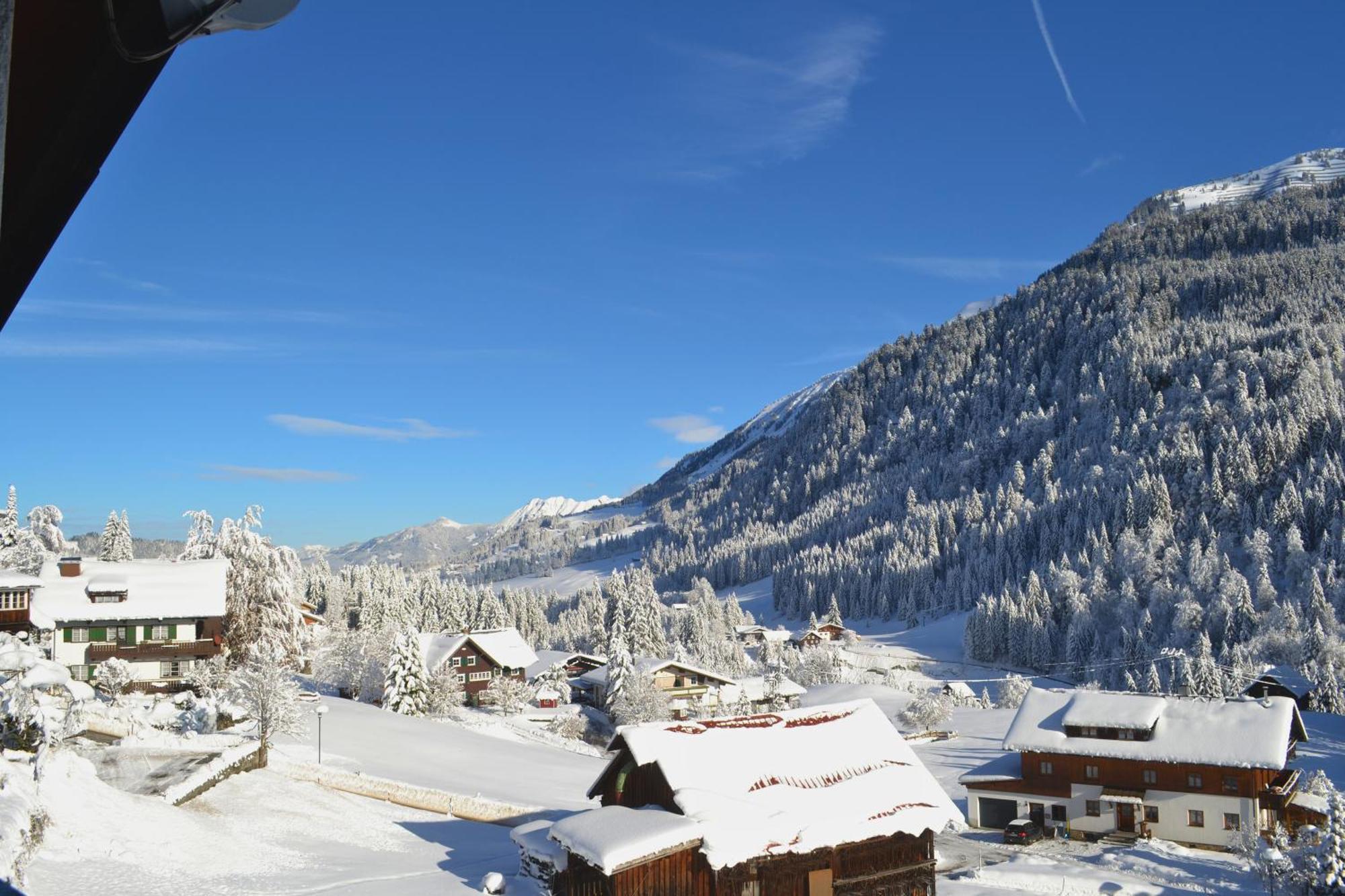 Alp-chalet Apartahotel Hirschegg (Vorarlberg)