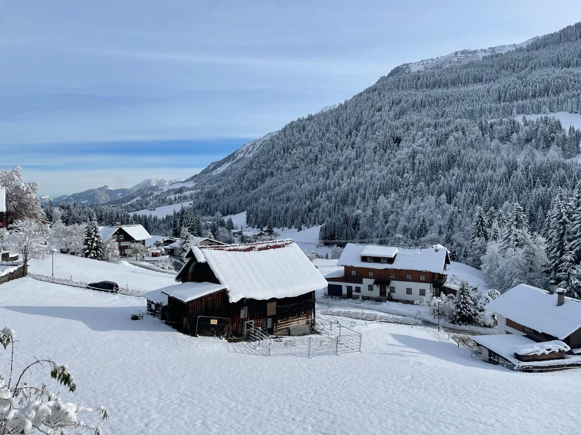Aparthotel Alp-chalet Hirschegg (Vorarlberg)