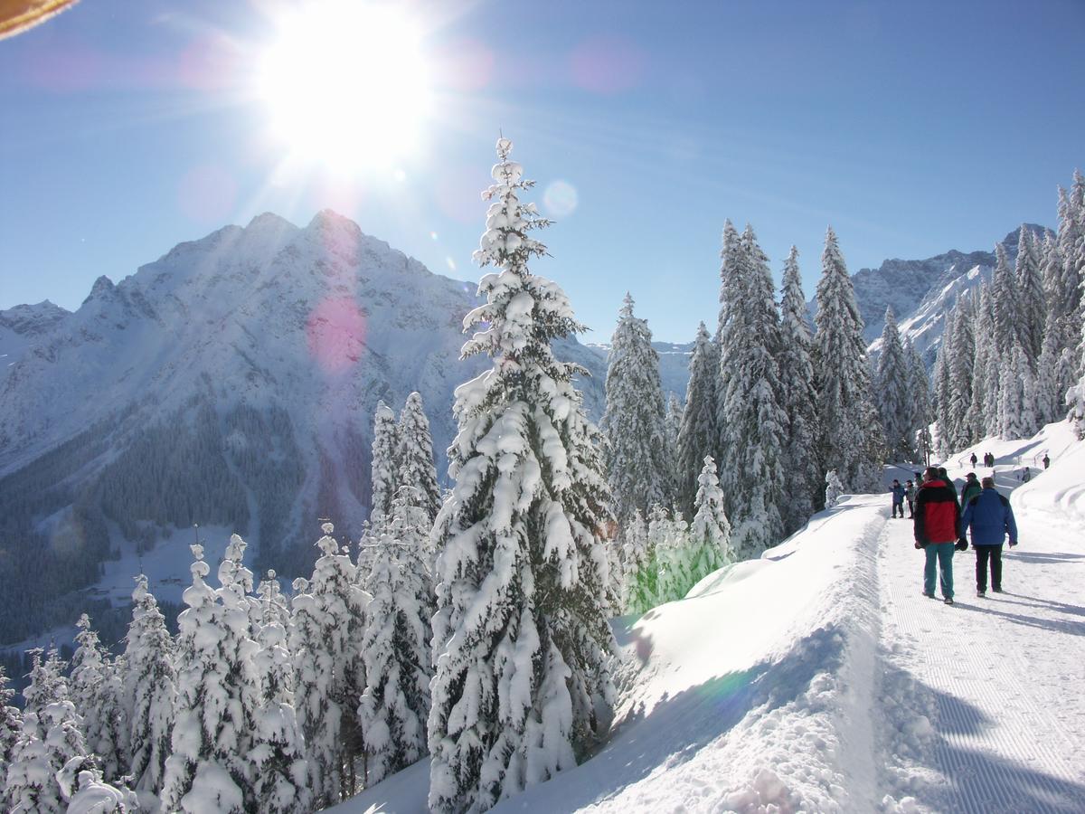 Apartahotel Alp-chalet 3*