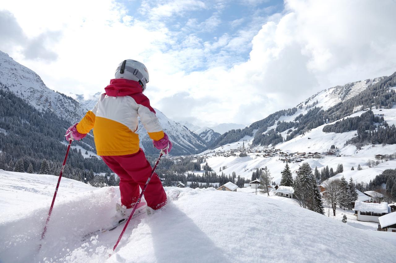 Alp-chalet 3* Hirschegg (Vorarlberg)