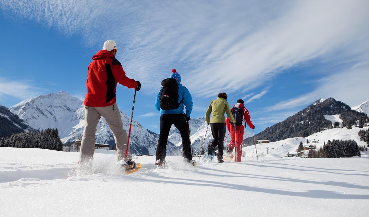 Aparthotel Alp-chalet 3*