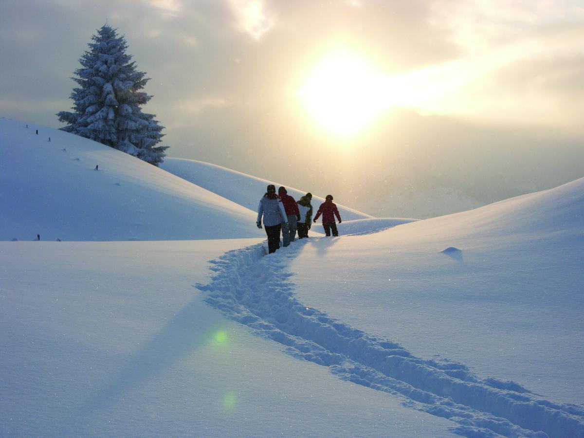 Alp-chalet 3* Hirschegg (Vorarlberg)